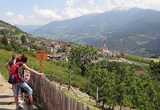 Italy-Northern Italy-Chestnut and Wine Route in Tyrol